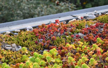 the cost of Short Cross green roof installation